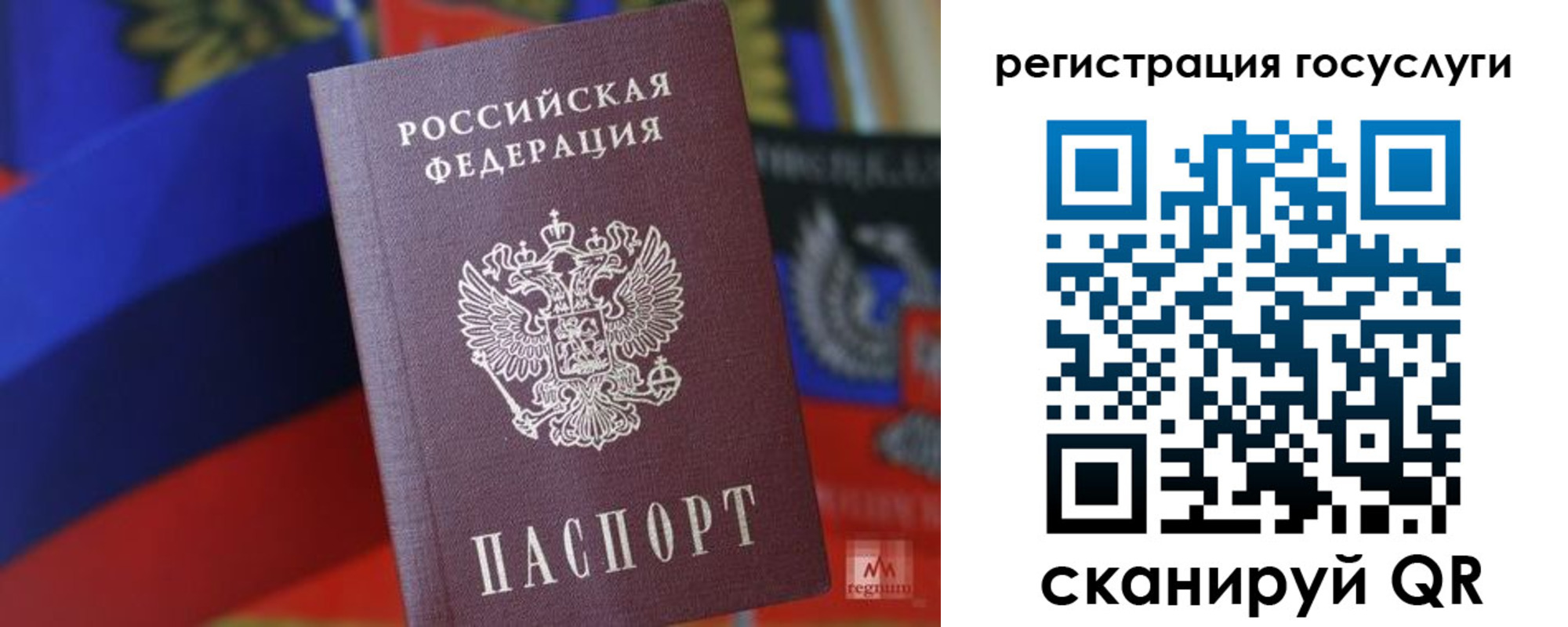 прописка от собственника в Михайловке